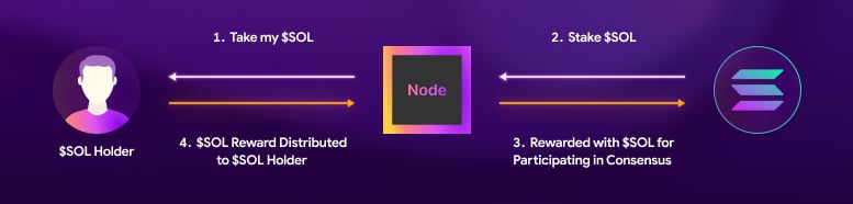 How Does Native Staking Solana Work