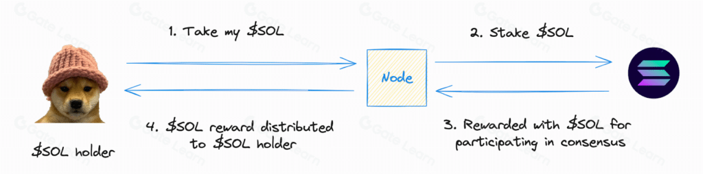 native staking solana network
