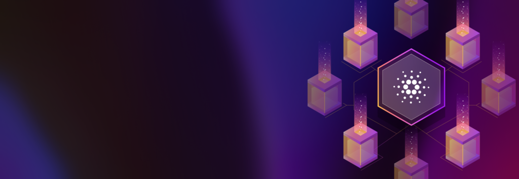 Top Cosmos Staking Platforms with High APY